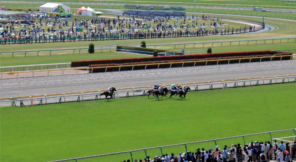 競馬・競輪・競艇・オートレースの売上と人口から見る人気は？