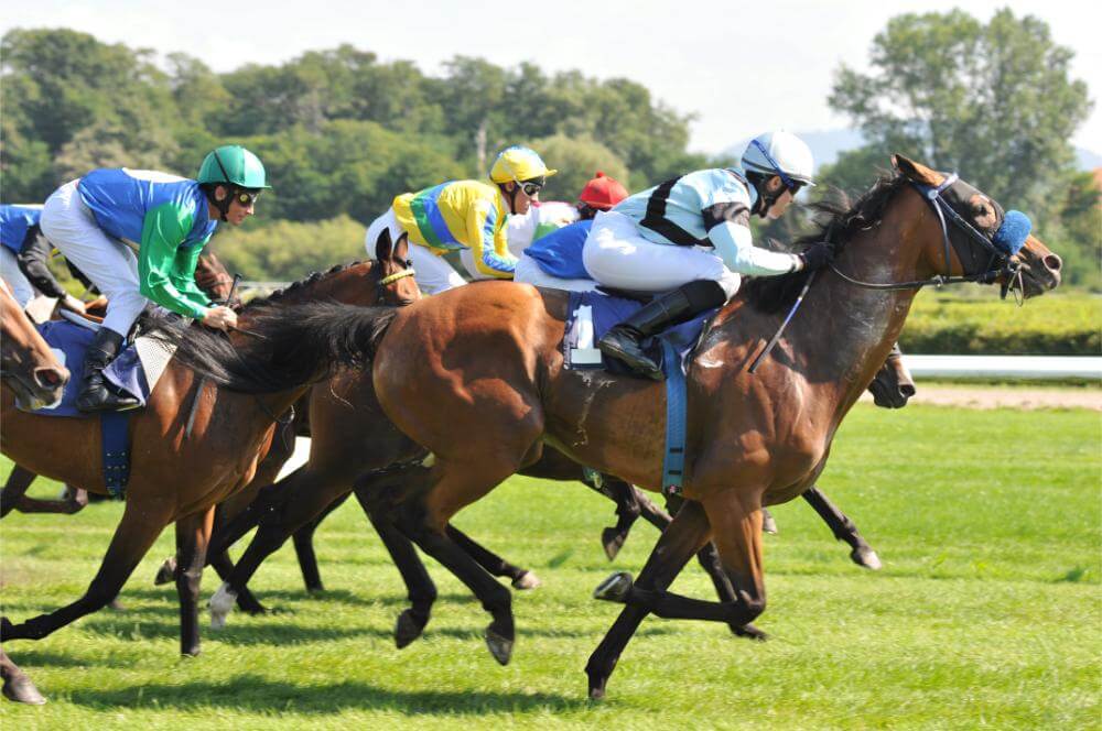 競馬・競輪・競艇・オートレースはどれが当たる？公営競技の違いは