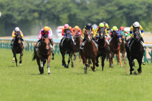 競馬全通り買いは儲かる? 計算、必勝法、回収率を基に勝つ方法