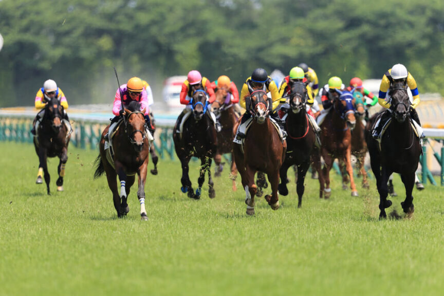競馬全通り買いは儲かる? 計算、必勝法、回収率を基に勝つ方法